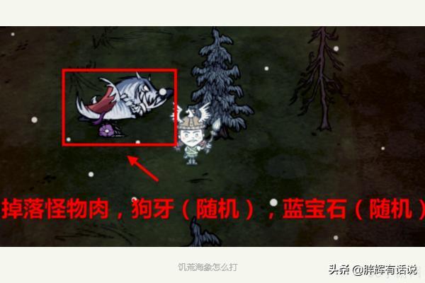 饥荒怎么打海象爸爸，冬天饥荒怎么杀海象？