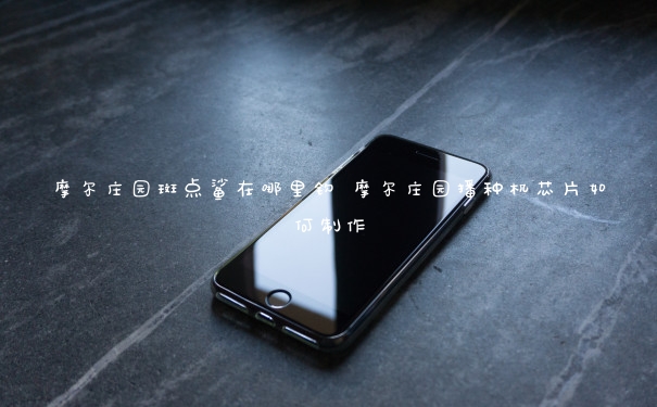 摩尔庄园斑点鲨在哪里钓 摩尔庄园播种机芯片如何制作