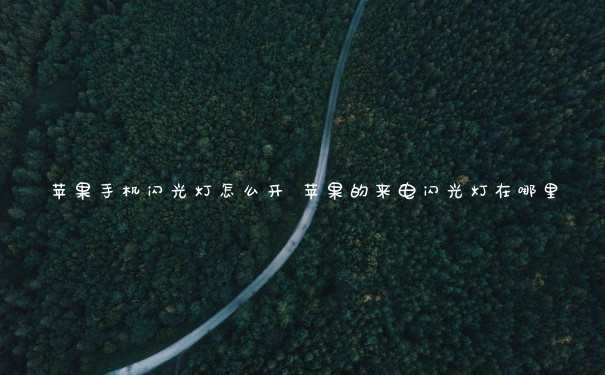 苹果手机闪光灯怎么开 苹果的来电闪光灯在哪里