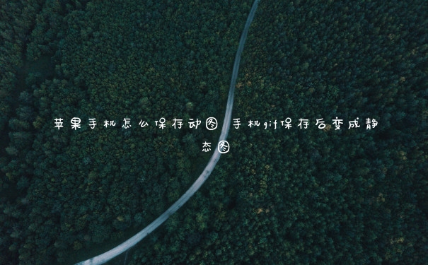 苹果手机怎么保存动图 手机gif保存后变成静态图