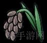 模拟农场25农作物有哪些