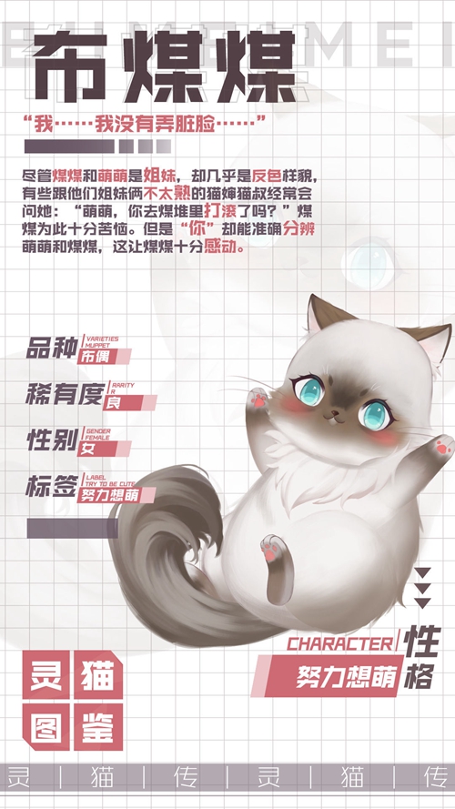 灵猫传双生子小黑布煤煤属性图鉴