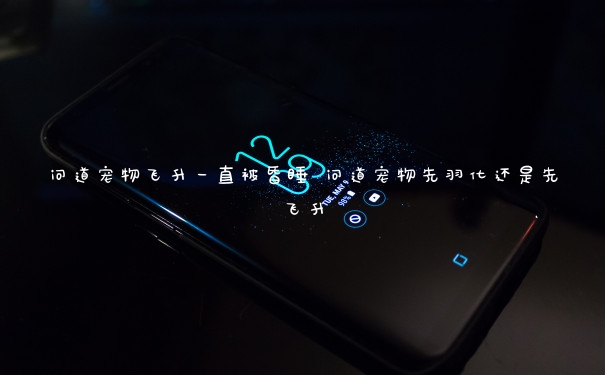 问道宠物飞升一直被昏睡 问道宠物先羽化还是先飞升