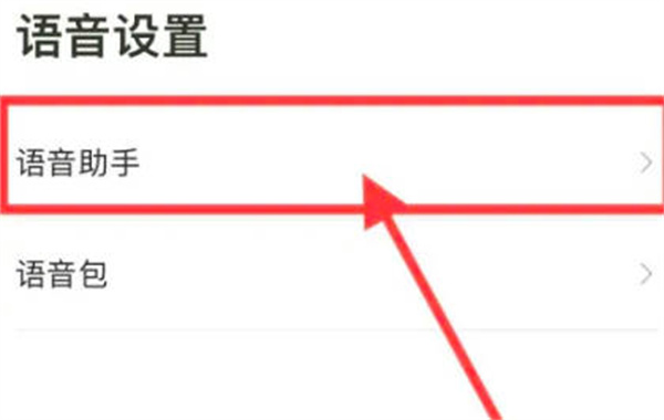 高德地图的语音唤醒功能在哪里打开