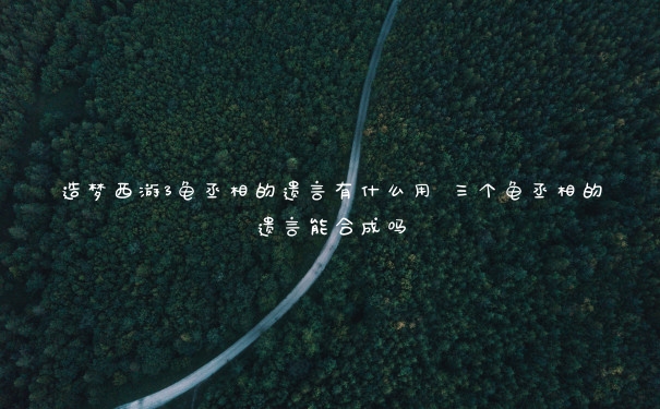 造梦西游3龟丞相的遗言有什么用 三个龟丞相的遗言能合成吗