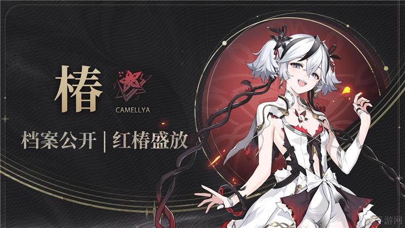 鸣潮椿技能一览