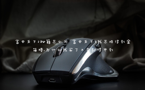 富甲天下2秘籍怎么用 富甲天下3我怎样得到金箍棒,为什么我买了又卖却得不到 富甲天下2秘籍怎么用 富甲天下3我怎样得到金箍棒,为什么我买了又卖却得不到