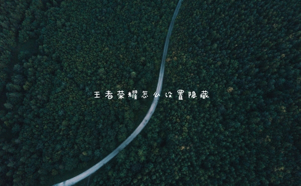 王者荣耀怎么设置隐藏
