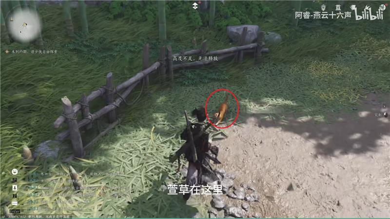 燕云十六声猫戏收集位置（百草野篇）