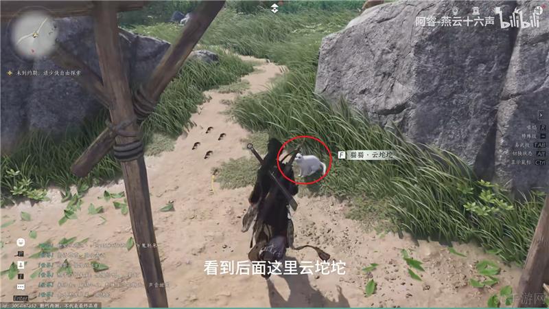 燕云十六声猫戏收集位置（百草野篇）