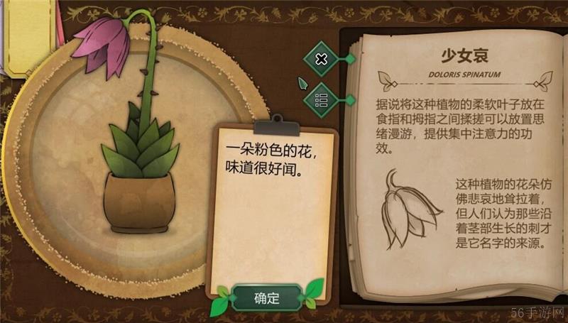 奇异园艺植物图鉴大全一览