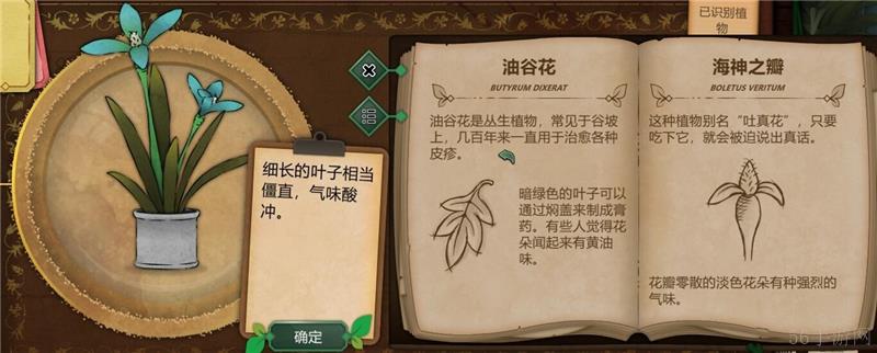 奇异园艺植物图鉴大全一览