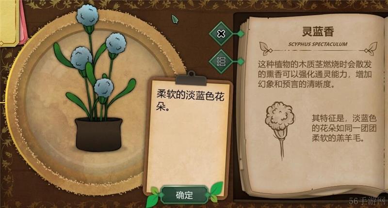 奇异园艺植物图鉴大全一览