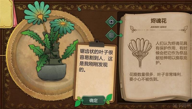 奇异园艺植物图鉴大全一览