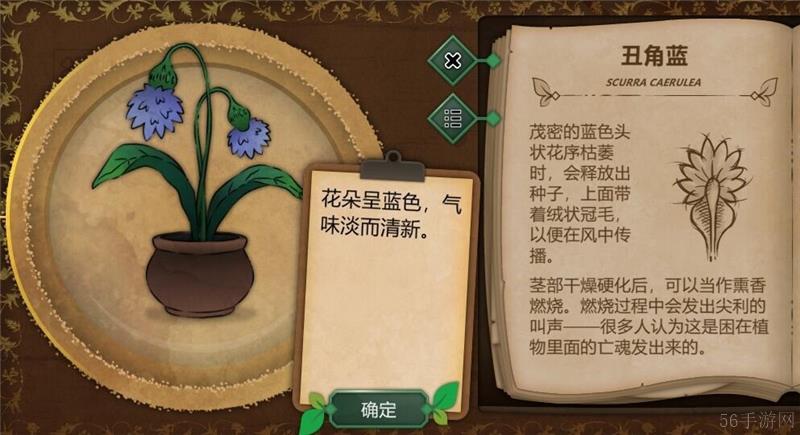 奇异园艺植物图鉴大全一览