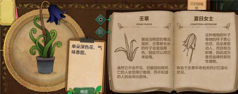 奇异园艺植物图鉴大全一览