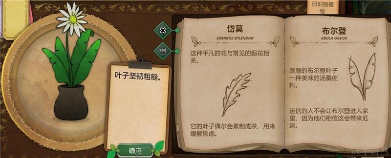 奇异园艺植物图鉴大全一览