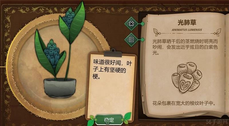 奇异园艺植物图鉴大全一览