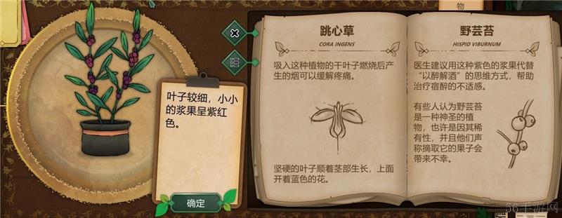 奇异园艺植物图鉴大全一览