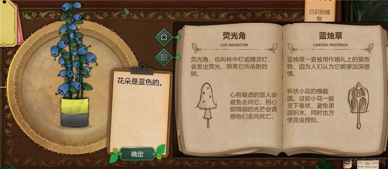 奇异园艺植物图鉴大全一览