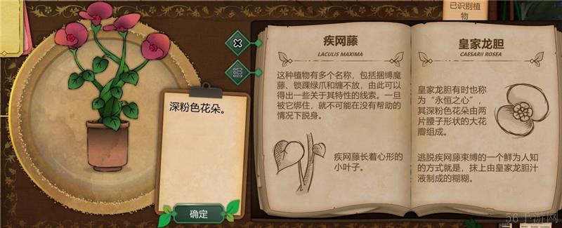 奇异园艺植物图鉴大全一览