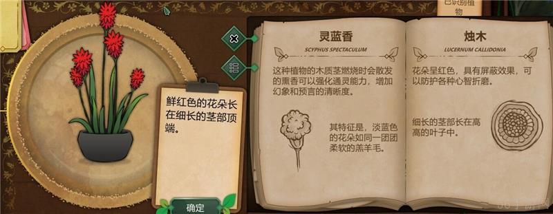 奇异园艺植物图鉴大全一览