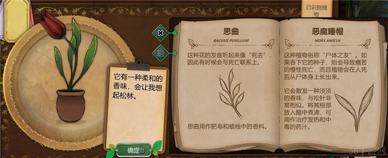 奇异园艺植物图鉴大全一览