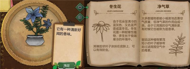 奇异园艺植物图鉴大全一览