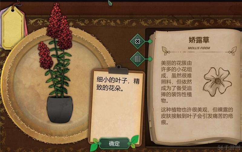奇异园艺植物图鉴大全一览