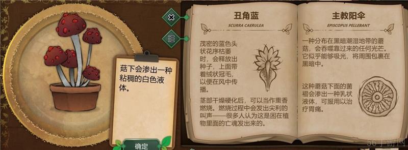 奇异园艺植物图鉴大全一览