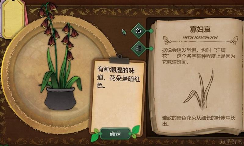 奇异园艺植物图鉴大全一览