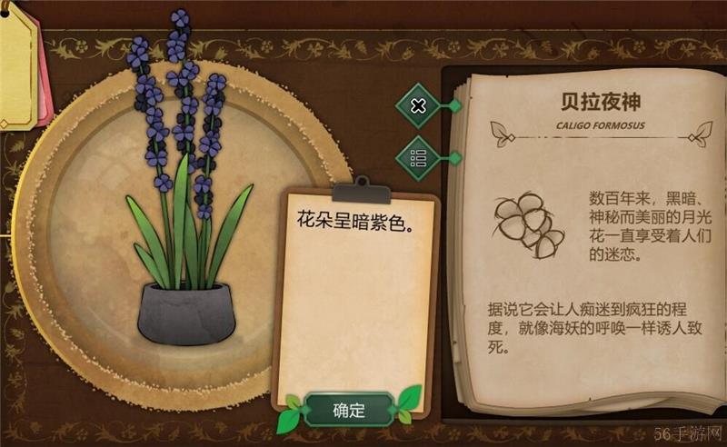 奇异园艺植物图鉴大全一览