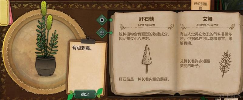 奇异园艺植物图鉴大全一览