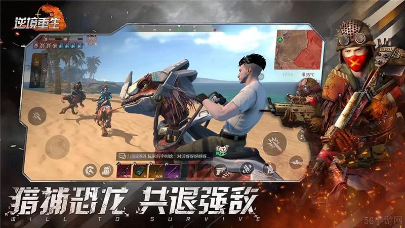 逆境重生手游里龙的种类和数量