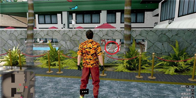 如龙8外传夏威夷海盗金珠位置大全-金珠位置去哪找